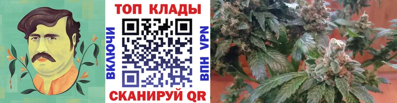 Виды наркотиков купить Ейск ГАШИШ  Амфетамин  КОКАИН  Alpha PVP  МЕФ  Марихуана 