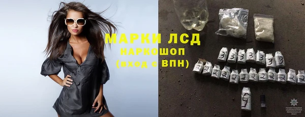 стаф Богданович