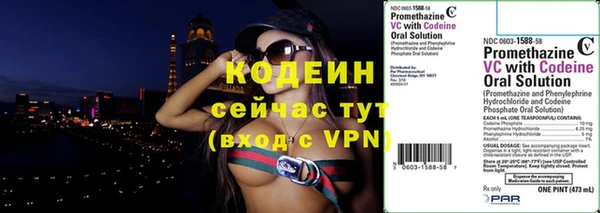 стаф Богданович