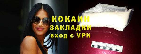 стаф Богданович