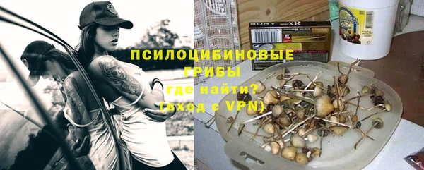 гидропоника Богородицк