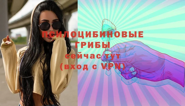 стаф Богданович