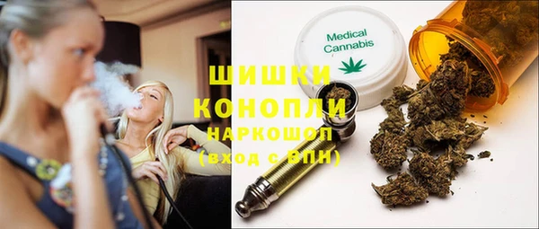стаф Богданович