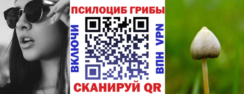 Псилоцибиновые грибы GOLDEN TEACHER  Ейск 